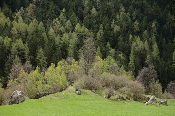 Landschaft_06-04-29_1024