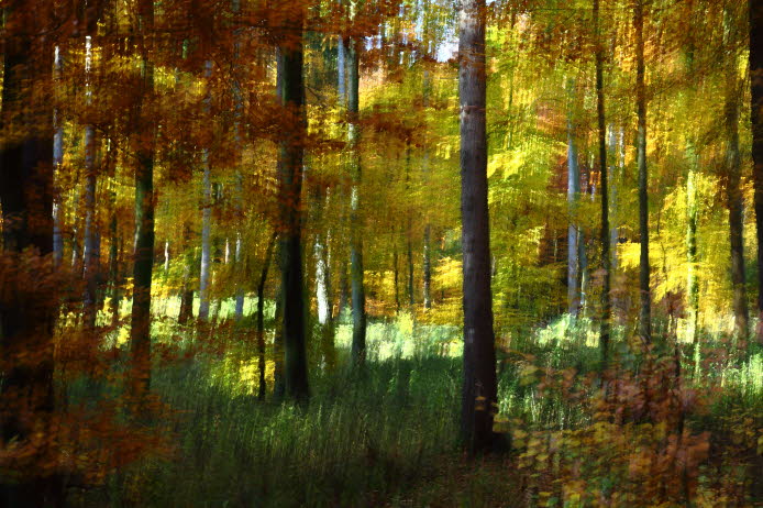 WalduWisch_09-10-30_9039